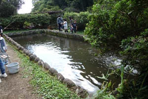 神奈川釣り堀「白糸マス釣りセンター」の池