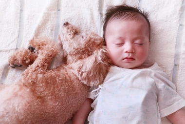 赤ちゃんとペットの犬が添い寝