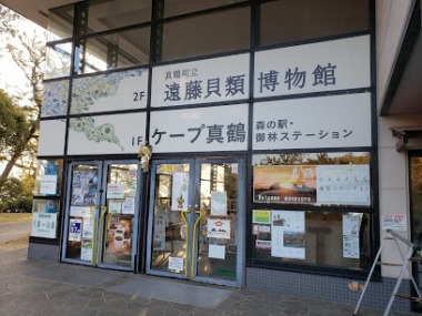 神奈川県ケープ真鶴と「遠藤貝類博物館」