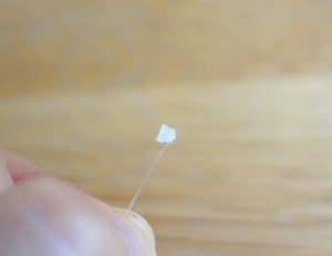 塩の結晶作り　釣り糸の先端に小さな結晶を接着