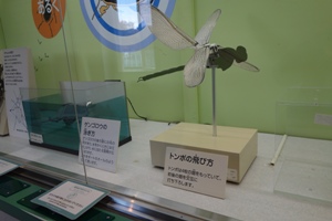 昆虫好き子どもにお薦め東京多摩動物園の昆虫園