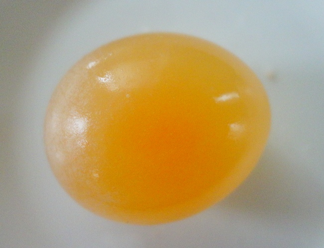 殻が溶けて透明になった卵