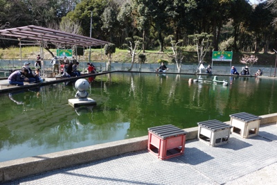 子連れOK！初心者OK！神奈川の釣り堀～自然の中でゆったり「草柳園フィッシングセンター」金魚釣り