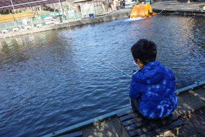 子連れOK！初心者OK！神奈川の釣り堀～自然の中でゆったり「草柳園フィッシングセンター」鯉つり風景