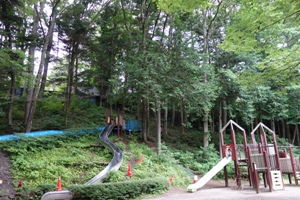 富士山中湖観光【森の中の水族館（さかな公園）】～さかな公園遊具