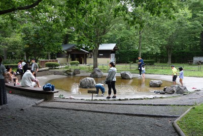 富士山中湖観光【森の中の水族館（さかな公園）】～さかな公園じゃぶじゃぶ池