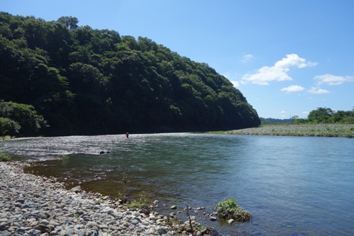 【水遊び＆自然】～神奈川・相模川自然の村公園～川原の様子
