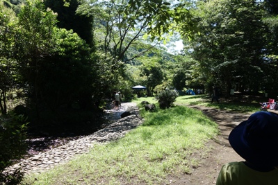 【水遊び＆自然】～神奈川・相模川自然の村公園～四季の小川