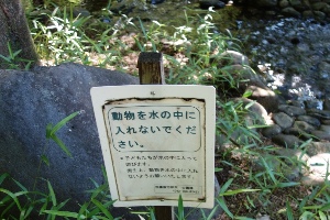 【水遊び＆自然】～神奈川・相模川自然の村公園～ペットについて