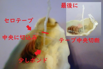 【子ども工作】貝殻キャンドル～安全で後片付けが楽な作り方
