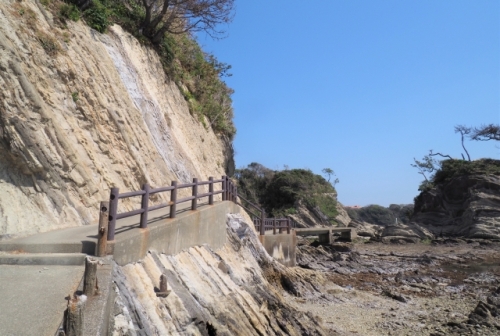 生き物いっぱい！三浦半島・荒崎海岸はBBQもできる最高の『磯遊び』スポット！