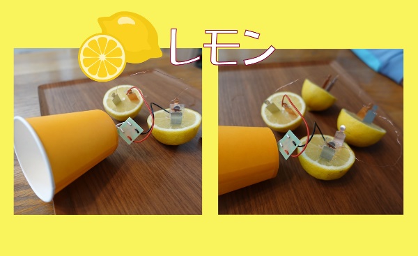 【小学生・中学生の科学実験】レモン以外もOK！『果物電池』～自由な発想で楽しもう！