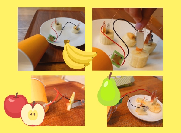 【小学生・中学生の科学実験】レモン以外もOK！『果物電池』～自由な発想で楽しもう！