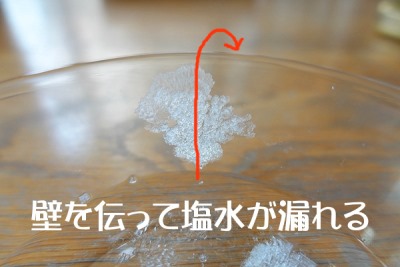 【子ども科学】塩の結晶の作り方～失敗の過程も書けば自由研究にも！