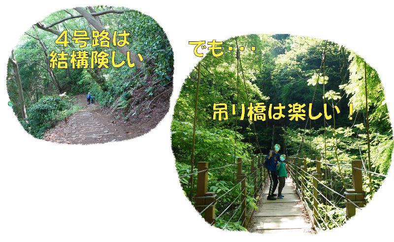 【初心者も楽しめる山】関東『高尾山』～高尾山4号路コース（吊り橋）