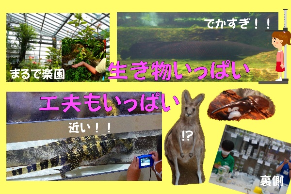 【生き物好きは是非！】関東・東京『足立区立生物園』～工夫いっぱいの子供お出かけスポット