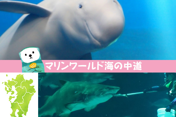 ここが素敵！福岡『マリンワールド海の中道』～子供が遊んで・学べる大きな水族館！