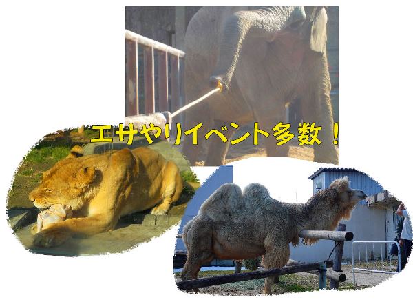 東武動物公園～エサやり・おやつイベント