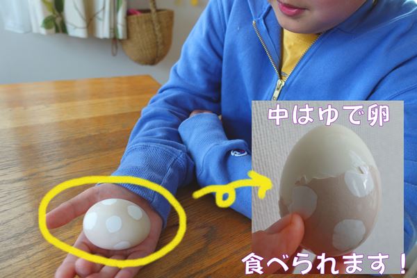 【子供科学】科学で変身する卵！～なす染め～草木染めで簡単楽しい実験！