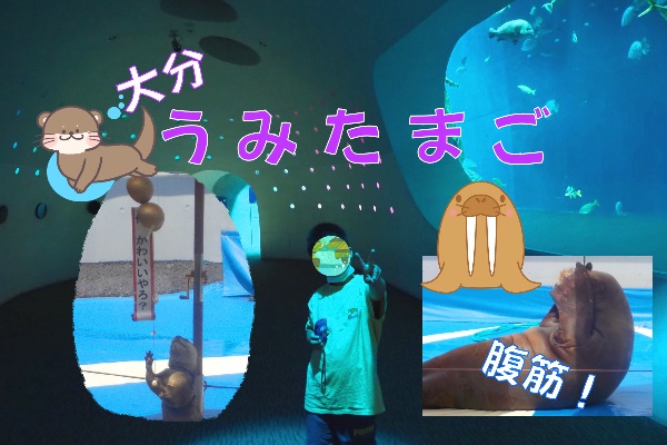 【九州大分・水族館】ふれあい・いっぱい！『うみたまご』～セイウチ＆カワウソのショーも最高！