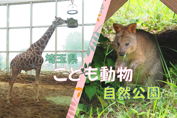 動物との距離が近い！【埼玉県こども動物自然公園】～日本でココだけの『クオッカ』も！