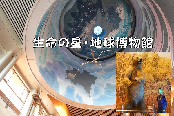 【地球と生命の共生とは】子供と行く！神奈川県立『生命の星・地球博物館』