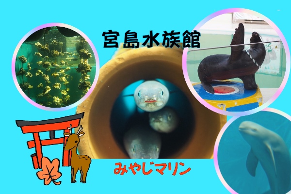 【広島・水族館】見つけた！カワイイ生き物・オモシロイ生き物！～宮島水族館みやじマリン