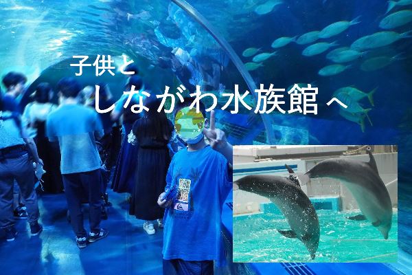 【東京・水族館】子供としながわ水族館へ！～ここが楽しかった！